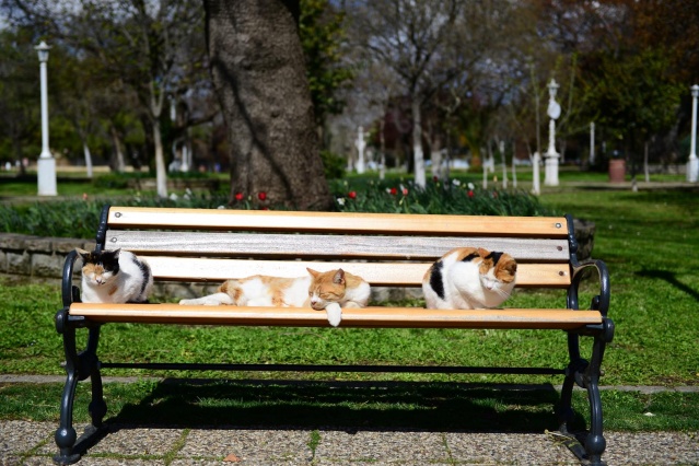 Gazete Kadıköy - 1047. Sayı